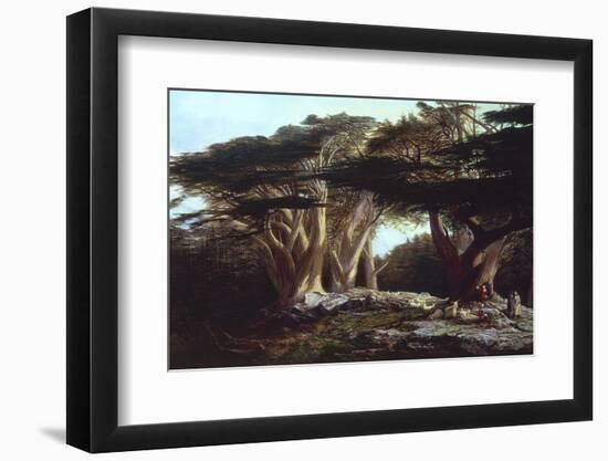 The Cedars of Lebanon-Edward Lear-Framed Premium Photographic Print