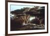 The Cedars of Lebanon-Edward Lear-Framed Photographic Print