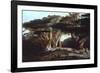 The Cedars of Lebanon-Edward Lear-Framed Photographic Print