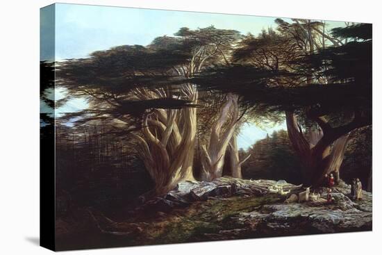 The Cedars of Lebanon-Edward Lear-Stretched Canvas