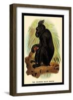 The Celebean Black Baboon-G.r. Waterhouse-Framed Art Print