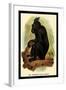 The Celebean Black Baboon-G.r. Waterhouse-Framed Art Print