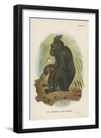 The Celebean Black Baboon-null-Framed Premium Giclee Print