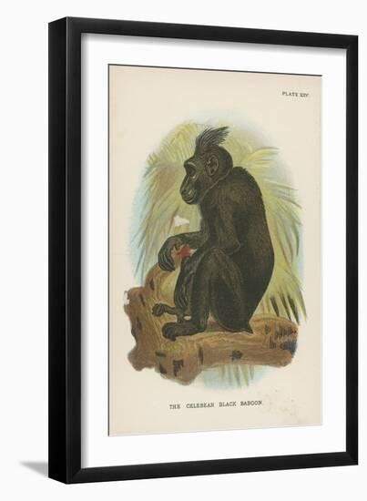 The Celebean Black Baboon-null-Framed Giclee Print