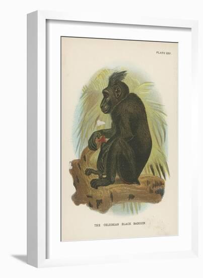 The Celebean Black Baboon-null-Framed Giclee Print