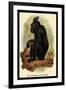 The Celebean Black Baboon-G.r. Waterhouse-Framed Art Print