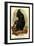 The Celebean Black Baboon-G.r. Waterhouse-Framed Art Print