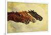 The Celebrated Race Horses 'Henry of Navarre', 'Monitor' and 'Dominoe'-Henry Stull-Framed Giclee Print