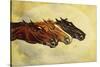 The Celebrated Race Horses 'Henry of Navarre', 'Monitor' and 'Dominoe'-Henry Stull-Stretched Canvas