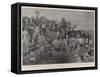 The Celebration of the Fete of St Roch in Auvergne-G.S. Amato-Framed Stretched Canvas