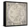 The Celestial Chart of the Southern Hemisphere-Albrecht Dürer-Framed Stretched Canvas