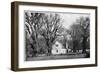 The Cellar at Vergelegen Wine Estate, South Africa, 1931-null-Framed Giclee Print