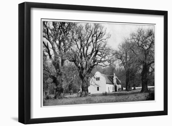 The Cellar at Vergelegen Wine Estate, South Africa, 1931-null-Framed Giclee Print