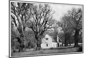 The Cellar at Vergelegen Wine Estate, South Africa, 1931-null-Mounted Giclee Print