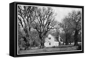 The Cellar at Vergelegen Wine Estate, South Africa, 1931-null-Framed Stretched Canvas