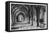 The Cellarium, Fountains Abbey, Yorkshire, C1920S-null-Framed Stretched Canvas