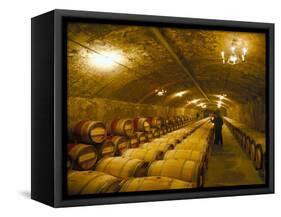 The Cellars, Chateau Lafitte Rothschild, Pauillac, Gironde, France-Michael Busselle-Framed Stretched Canvas