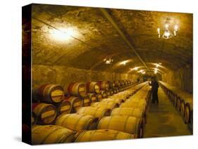 The Cellars, Chateau Lafitte Rothschild, Pauillac, Gironde, France-Michael Busselle-Stretched Canvas