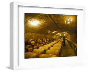 The Cellars, Chateau Lafitte Rothschild, Pauillac, Gironde, France-Michael Busselle-Framed Photographic Print