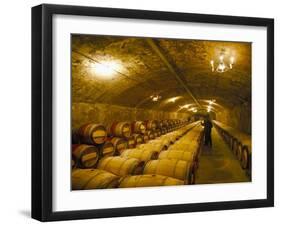 The Cellars, Chateau Lafitte Rothschild, Pauillac, Gironde, France-Michael Busselle-Framed Photographic Print