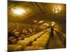 The Cellars, Chateau Lafitte Rothschild, Pauillac, Gironde, France-Michael Busselle-Mounted Photographic Print