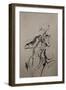 The Cellist Sketch-Marc Allante-Framed Giclee Print