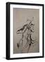 The Cellist Sketch-Marc Allante-Framed Giclee Print