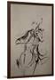 The Cellist Sketch-Marc Allante-Framed Giclee Print