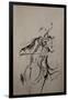 The Cellist Sketch-Marc Allante-Framed Giclee Print