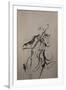 The Cellist Sketch-Marc Allante-Framed Giclee Print