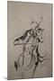 The Cellist Sketch-Marc Allante-Mounted Giclee Print