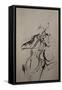 The Cellist Sketch-Marc Allante-Framed Stretched Canvas