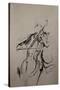 The Cellist Sketch-Marc Allante-Stretched Canvas