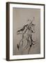 The Cellist Sketch-Marc Allante-Framed Giclee Print