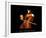 The Cellist-Julia Drake-Framed Giclee Print