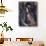 The Cellist-Amedeo Modigliani-Giclee Print displayed on a wall