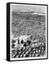 The Cemetery at Mecca, C1890-null-Framed Stretched Canvas