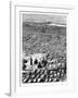 The Cemetery at Mecca, C1890-null-Framed Giclee Print