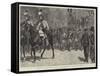 The Centenary of the French Republic-Richard Caton Woodville II-Framed Stretched Canvas