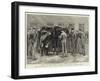 The Centenary of the Royal Veterinary College, Camden Town-null-Framed Giclee Print