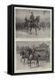 The Centenary Review of Volunteers before the Prince of Wales-William T. Maud-Framed Stretched Canvas