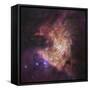 The Center of the Orion Nebula, known as the Trapezium Cluster-Stocktrek Images-Framed Stretched Canvas