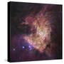 The Center of the Orion Nebula, known as the Trapezium Cluster-Stocktrek Images-Stretched Canvas