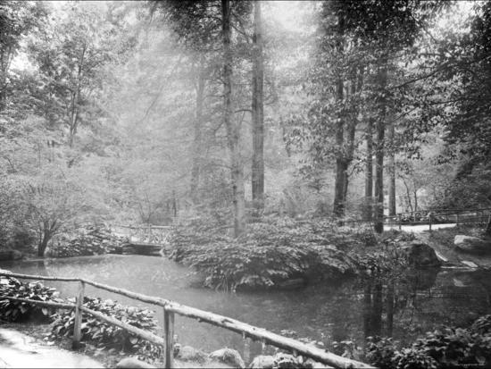 Photo, , large