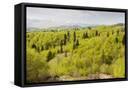 Canvas Black