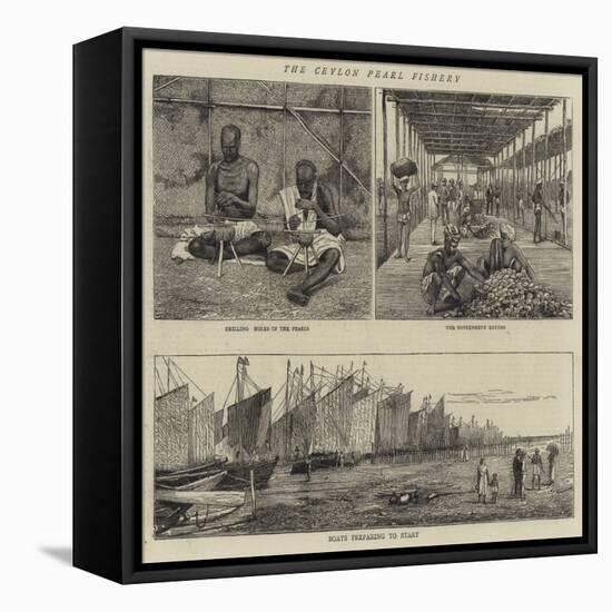 The Ceylon Pearl Fishery-null-Framed Stretched Canvas