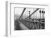 The Chain Bridge in Budapest in Black and White-ALein-Framed Photographic Print