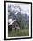 The Chalet in the Enchanted Valley, Olympic National Park, Washington, USA-Charles Sleicher-Framed Photographic Print