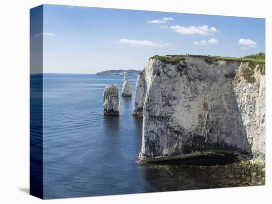 The Chalk Cliffs of Ballard Down with the Pinnacles Stack and Stump in Swanage Bay-Roy Rainford-Stretched Canvas