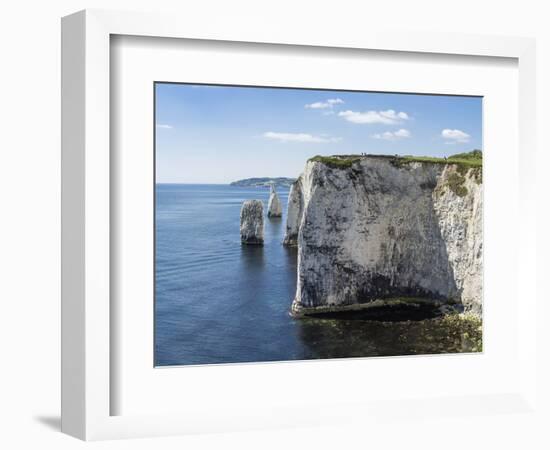 The Chalk Cliffs of Ballard Down with the Pinnacles Stack and Stump in Swanage Bay-Roy Rainford-Framed Photographic Print